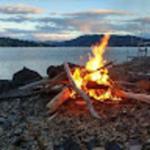 Meet your Posher, Janie